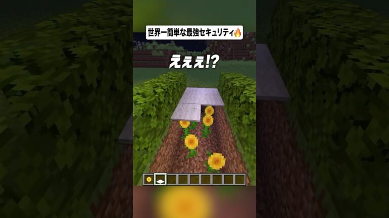 世界一簡単な最強セキュリティ🌻🔥【まいくら・マインクラフト】#shorts #らた #minecraft #ゲーム実況 #まいくら #マイクラ