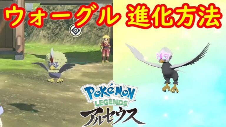 【ワシボン → ヒスイ ウォーグル】進化方法 攻略  【Pokémon LEGENDS アルセウス ポケモン レジェンズ アルセウス】