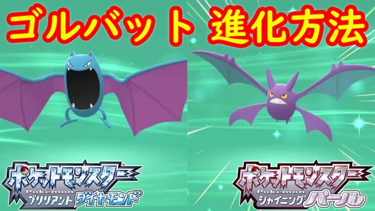 【ズバット → ゴルバット → クロバット】特殊進化方法（なつき度） 攻略  【ポケモン ダイパリメイク ポケモン ブリリアントダイヤモンド・シャイニングパール】