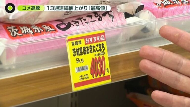 コメ価格「最高値」今後の動向は