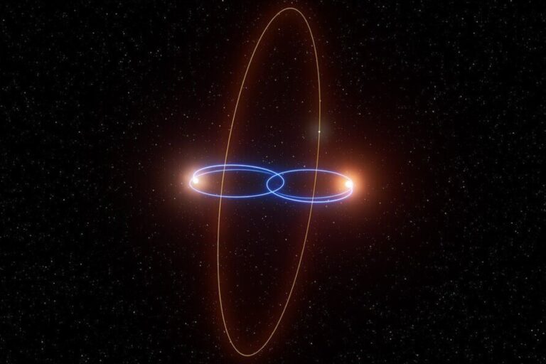 連星に直交軌道で周回するトリッキーな惑星を発見