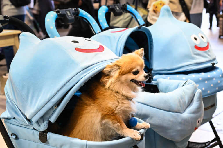 スクエニの犬猫グッズ「SQEX PETs」も9月発売決定！　おもしろワンニャンアイテムたくさんの“インターペット2025”