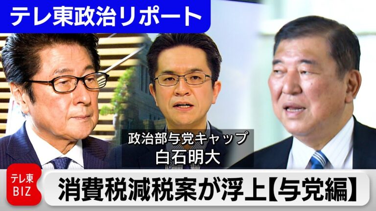 トランプ関税で消費税減税案が浮上【与党編】背景に世界同時不況や参院選への懸念も【テレ東政治リポート】