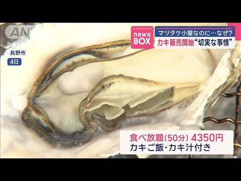カキ販売開始“切実な事情”　マツタケ小屋なのに…なぜ？【スーパーJチャンネル】(2025年4月8日)