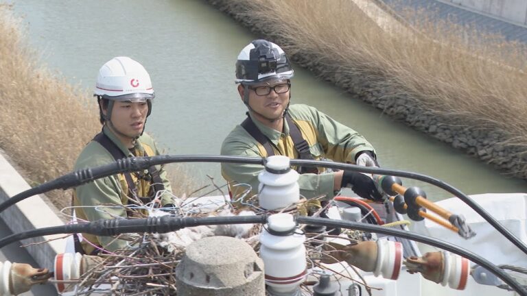 カラスの子育て期間“3月から5月”は危険!? 鳥の巣が原因の停電が多発 なぜ電柱に? 対策は? 撤去作業に密着 名古屋