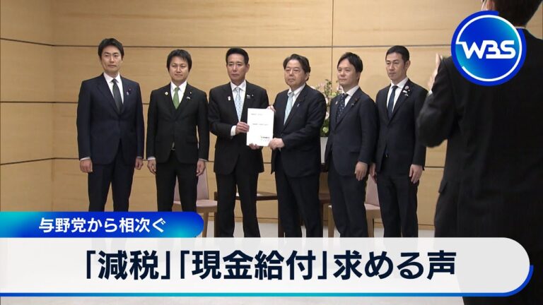 「減税」「現金給付」求める声　与野党から相次ぐ【WBS】