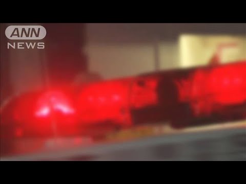 カンボジア拠点の巨額特殊詐欺事件首謀者か　タイから移送し逮捕　埼玉県警(2025年4月8日)