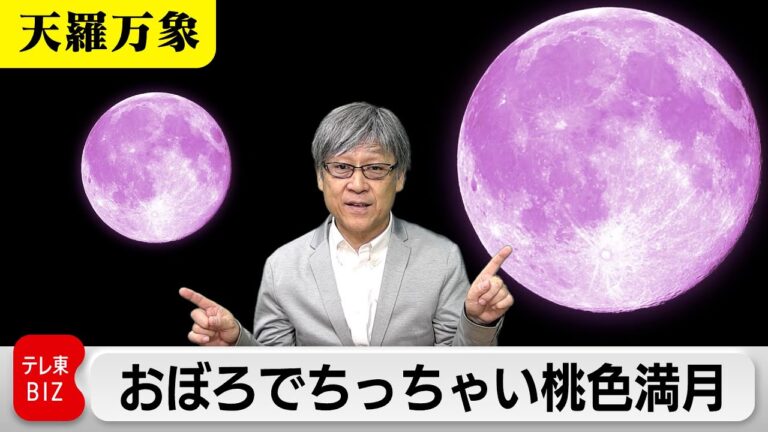 おぼろでちっちゃい桃色満月　4月の月は特徴的？【久保田解説委員の天羅万象】（216）