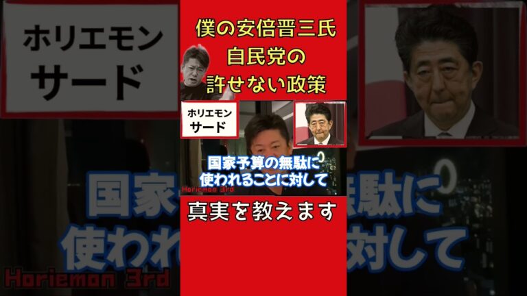 安倍元首相と自民党に対する感想をお伝えしますmov