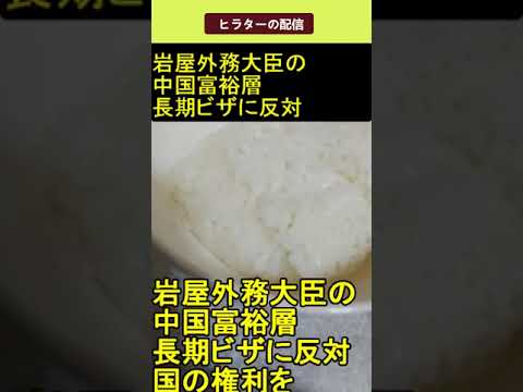 岩屋外務大臣 の 中国富裕層長期ビザに反対 2025.04.11 ヒラターの配信 ショート #shorts