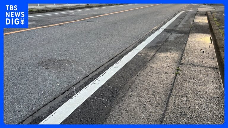 83歳男性が相次いで車にひかれる 意識不明の重体　最初にひいたとみられる車逃走 ひき逃げ事件として捜査　群馬・大泉町｜TBS NEWS DIG