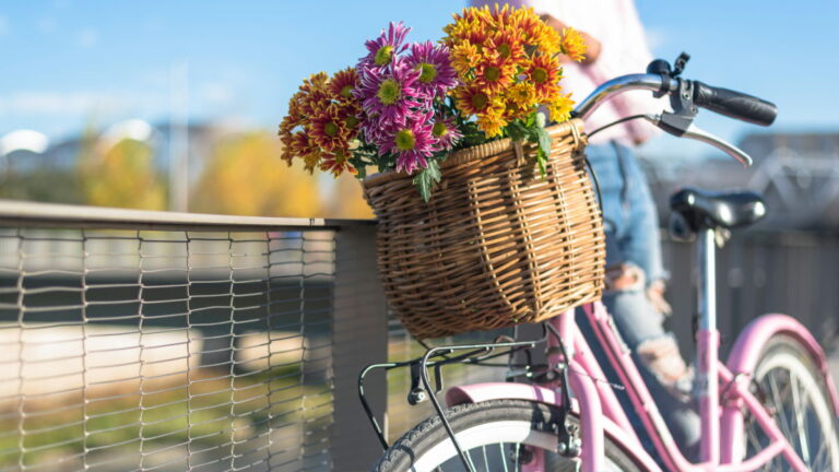 自動車を排除して自転車を推進したパリでは空気が劇的にきれいになった – GIGAZINE