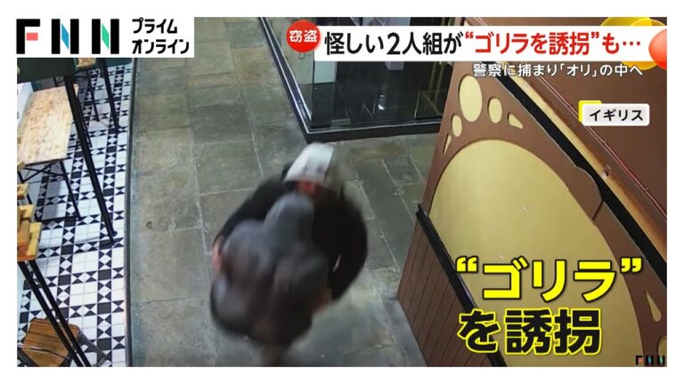 “ゴリラ”誘拐する2人組…防犯カメラに犯行の一部始終が　警察が自宅捜索・逮捕され「オリ」の中へ　イギリス