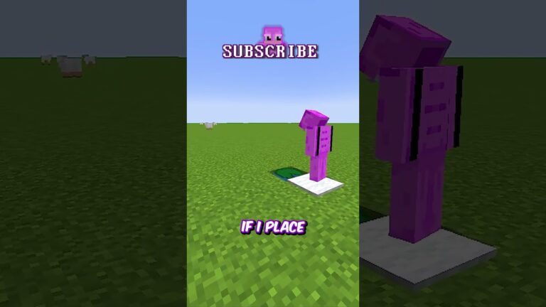 The Slowest Ladder in Minecraft! ⛏️ #shorts