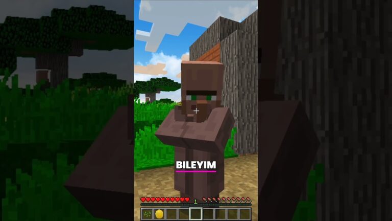 Minecraft TAVUK Görürsem Video BİTER!