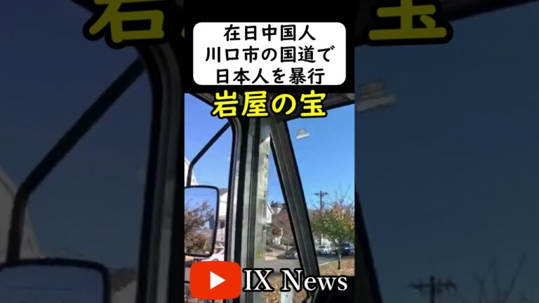 川口市の移民が国道で…
