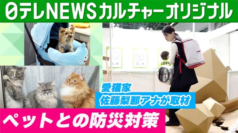 「ペットも家族」考えておきたい防災対策　猫3匹飼う佐藤梨那アナが取材　同行避難体験に企業のアイデア