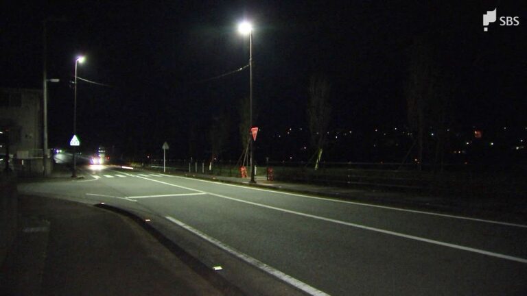 軽乗用車が対向車線にはみ出し街灯に衝突する事故　助手席の87歳女性が死亡＝静岡県警