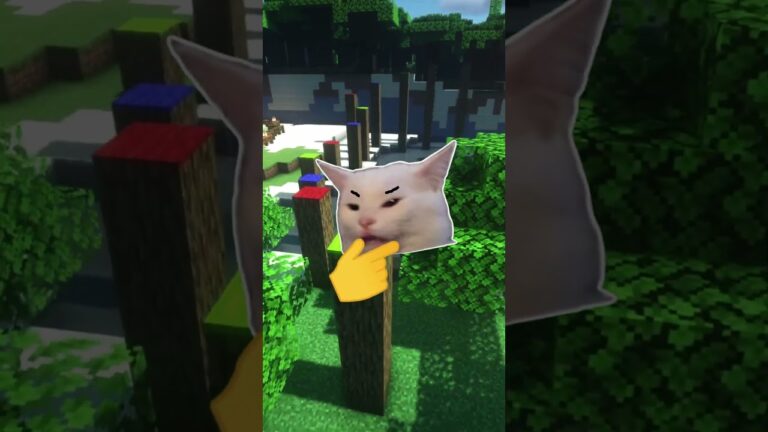 Würdet ihr das machen?🤔Also ich jetzt schon! #minecraft #sabos #tordi #deutsch