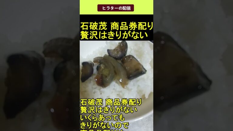 自民党 石破茂 商品券配り 贅沢はきりがない 2025.04.19 ヒラターの配信 ショート #shorts