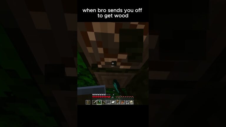 Its always so calming #minecraft