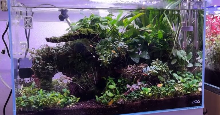 絵画のように美しいエビ水槽に高級水草を植え、1年ガチ放置したら……　そうはならんやろな結果に反響