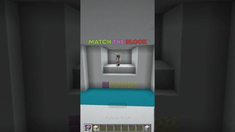 Minecraft END Match vs MINA🎨#minecraft #minecraftshorts