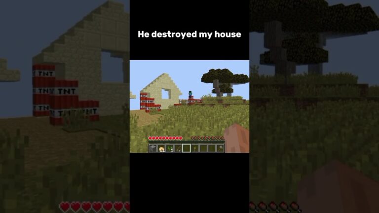 Steve Destroyed my house #minecraft #Steve #villager #zombie #video #short