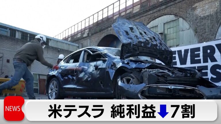 テスラ純利益7割減　不買運動の影響受ける　マスク氏「業績は関税で予測困難」「政府の仕事大幅減らす」
