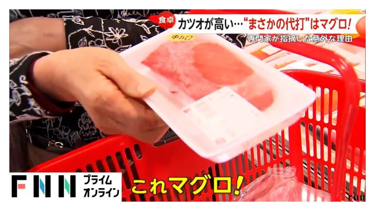 “庶民の味方”のはずが旬のカツオにも価格高騰の波　“代打の魚”はマグロ！平年比べ2割お買い得に