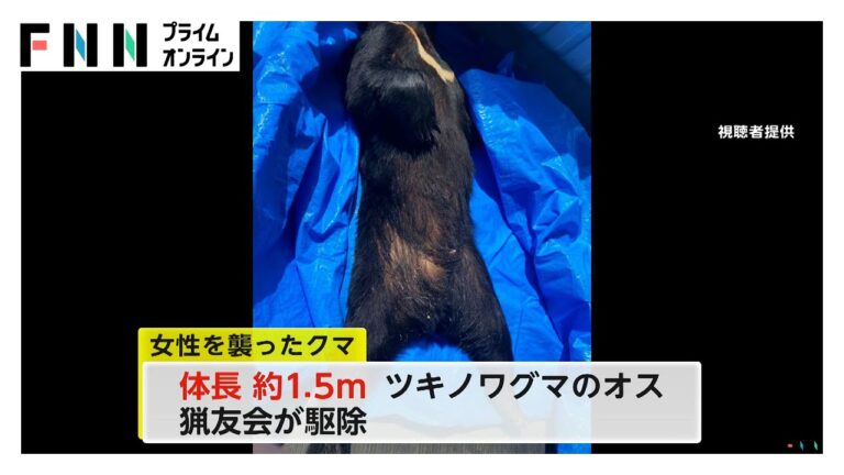 餌を求め人里へ？住宅地や畑などで相次ぐ熊との遭遇　猫の散歩中に襲撃も…ペットといるときは要注意！