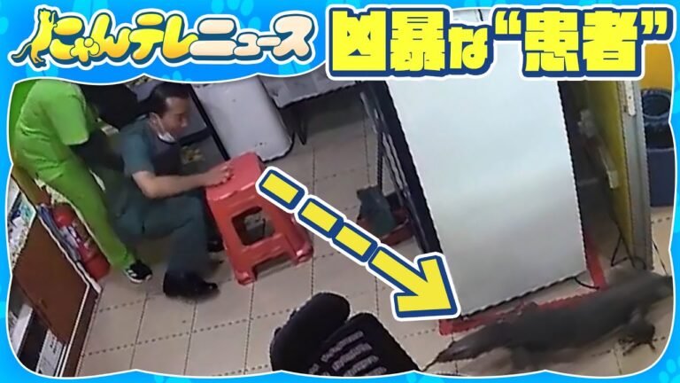 【招かれざる凶暴な“患者”】パニックになる医師たち マレーシア