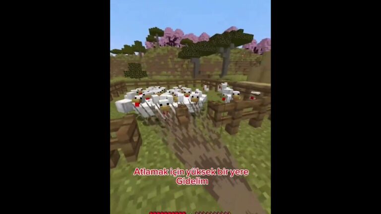 Tavuklarla Uçmaya Çalıştım ve Olanlara İnanamayacaksınız! #shorts #Minecraft #tavuk #komedi #viral