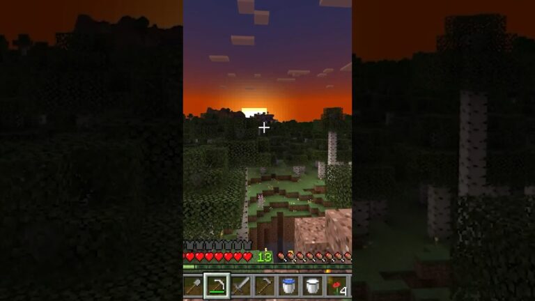The Most Beautiful Sight I’ve Witnessed in Minecraft! #minecraftfirsttime #minecraft