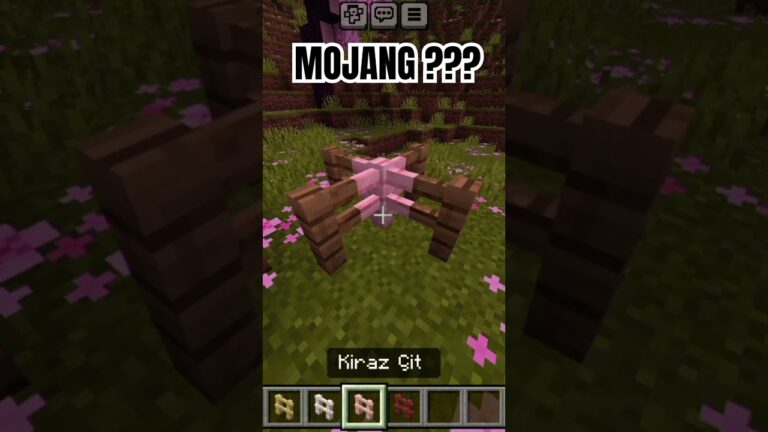 Mojang ??? #minecraft #shorts
