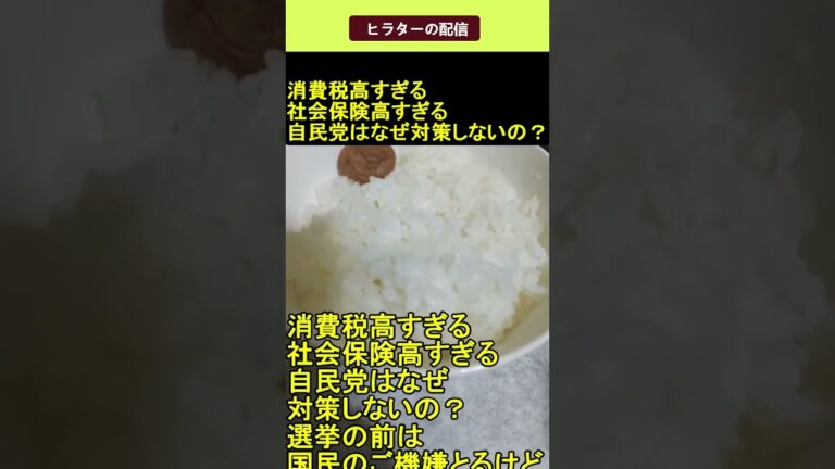 消費税高すぎる社会保険高すぎる自民党はなぜ対策しないの？ 2025.04.25 ヒラターの配信 ショート #shorts