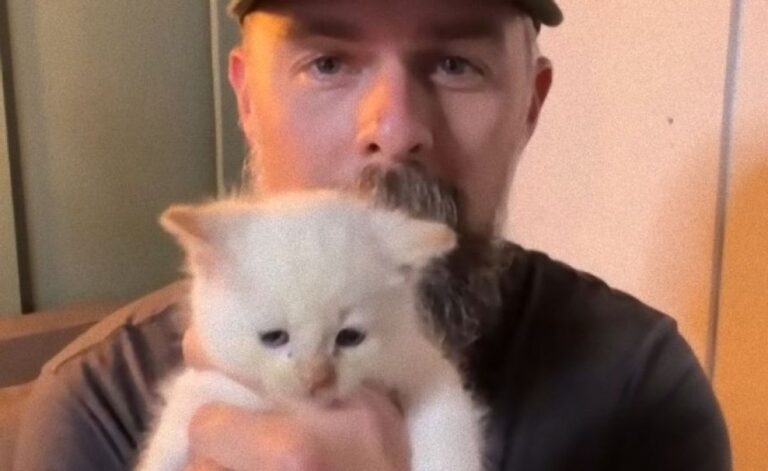 猫に選ばれしヒゲメン再び！「猫派じゃなかった」はずなのに白い子猫の沼にはまる