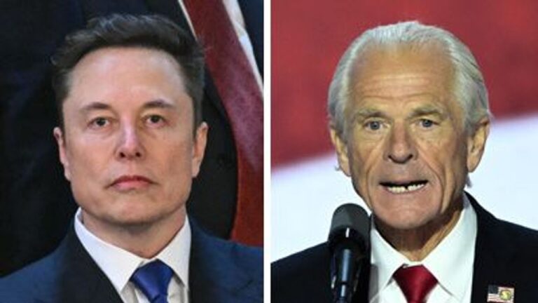 マスク氏 米大統領顧問は「ばか」