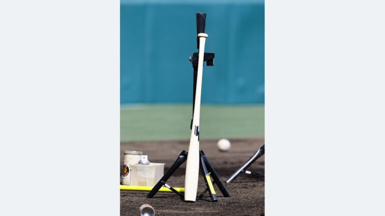NPB「魚雷バット」の使用を容認
