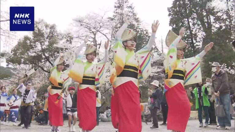 大津 三井寺 桜の名所で阿波踊りを披露する催し
