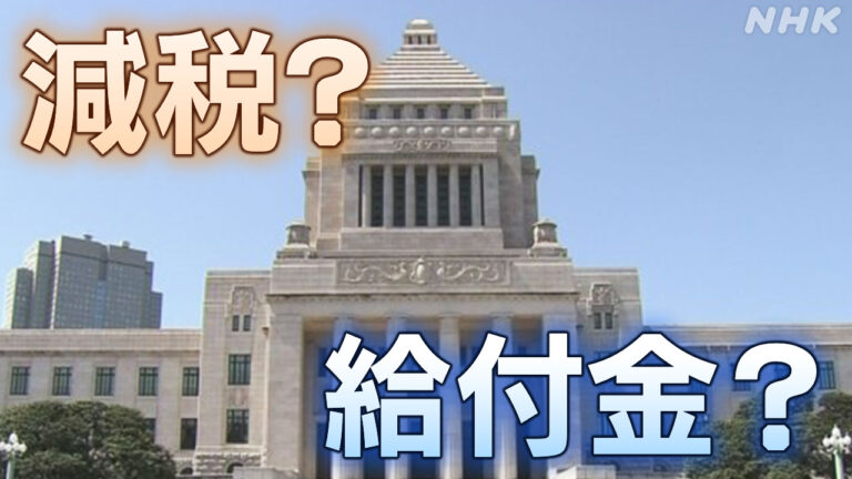 減税 現金給付めぐり与野党から発言相次ぐ 物価高や米関税で