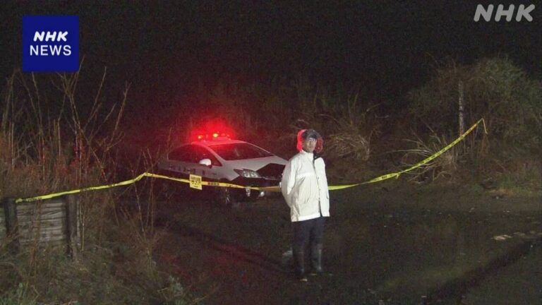 宮城 岩沼 海岸で35歳女性が死亡 殺人事件か 警察が捜査