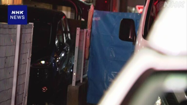 埼玉 10代の少女死亡 刃物で刺されたか 出頭の男から事情聴く