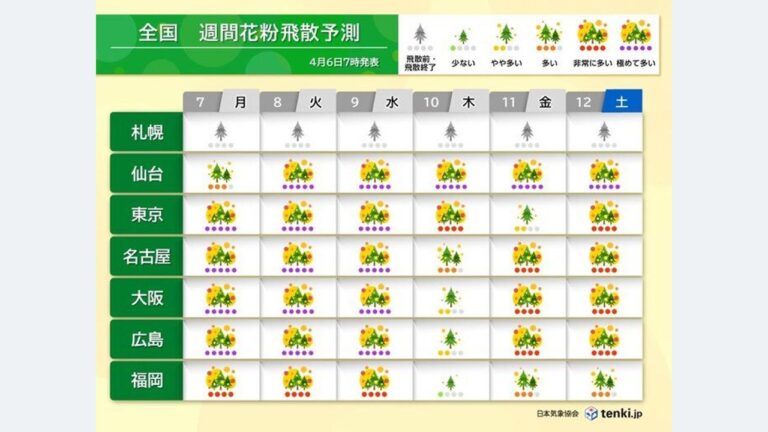 花粉 7日は東京など広く大量飛散