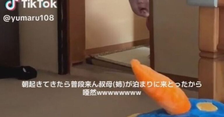 寝起きの0歳赤ちゃん→知らない人を発見した瞬間……　まさかの表情に「声出して笑った」「可愛すぎるww」