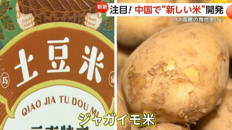 中国で開発「ジャガイモ米」味は
