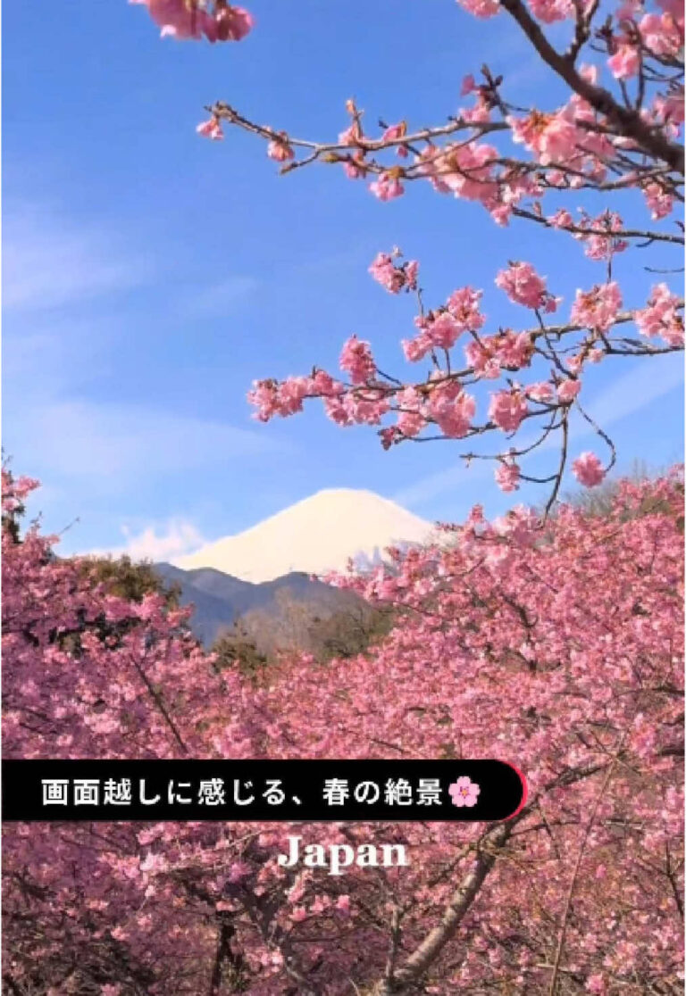 色んな桜スポットを検索してみてね🔍 TikTokなら各地の桜も一気に楽しめますね😌🌸 どの桜が気になりましたか？ 場所の詳細はコメント欄をチェック👀！ Special thanks ①四季の癒しと絶景を発信している@🍵Matcha｜まっちゃ さん ②全国や海外ののおすすめスポットを紹介している@atsumi__123 さん ③毎月海外旅行するフォトグラファーの@Ayane / 写真撮る人 さん ④日本の幻想的な癒し動画を発信している@1minute traveller さん ⑤日本の綺麗な風景を発信している@subtitletokyo さん