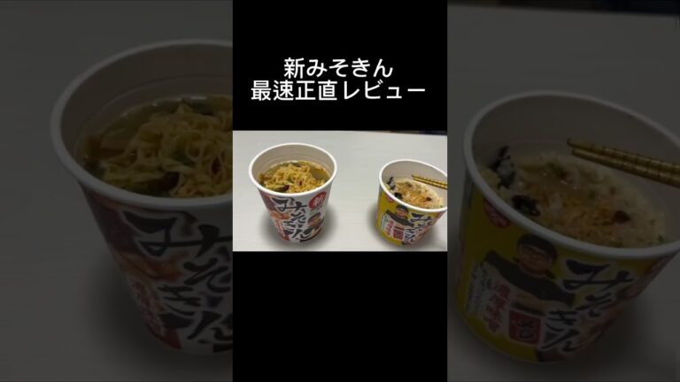 新みそきん最速正直レビュー#shorts #ヒカキン #hikakin #ラーメン