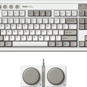 8Bitdo Retro Mechanical Keyboard、Bluetooth/2.4 G/USB-Cホットスワップ対応ゲームキーボード、87キー、英語配列、WindowsとAndroidに適したデュアルスーパープログラマブルボタン(M Edition)