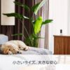 【セット買い】Echo Show 5 (第3世代) チャコール + Ring Indoor Cam (第2世代) ホワイト - 画像 (4)